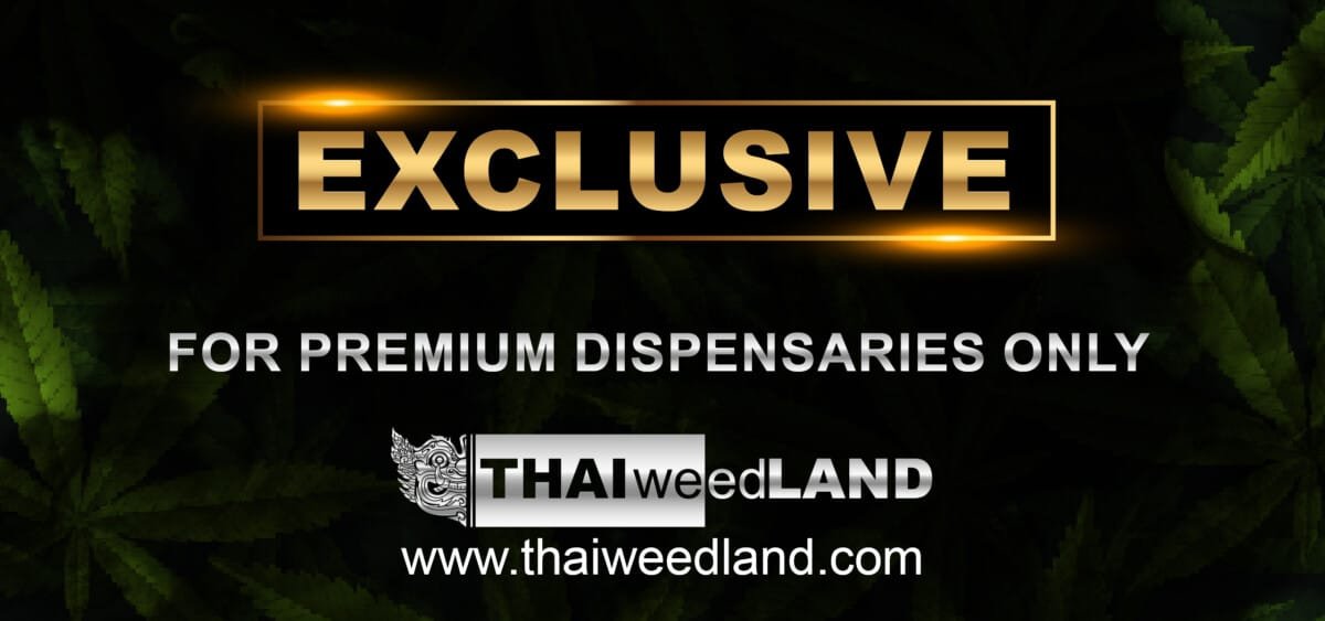 Exclusive